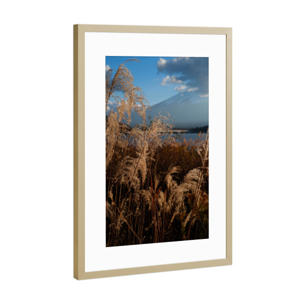 Poster mit Rahmen Gold "Gelbe Wiese" artboxONE - Natur,Reise - Gelbe wiese,Berg,See,Natur,Floral