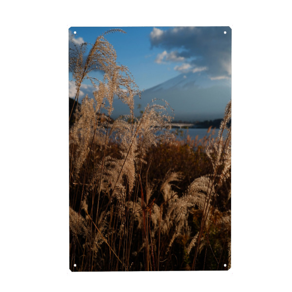 Metall Poster "Gelbe Wiese" artboxONE - Natur,Reise - Gelbe wiese,Berg,See,Natur,Floral - Blechschild