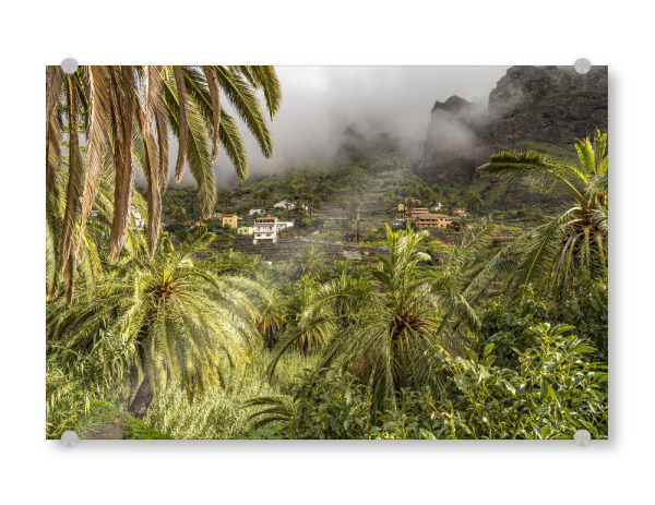 Acrylglasbild "Valle Gran Rey, La Gomera" artboxONE - Natur,Reise - Valle gran rey,La gomera,Kanarische inseln,Spanien,Palmen,Landschaft