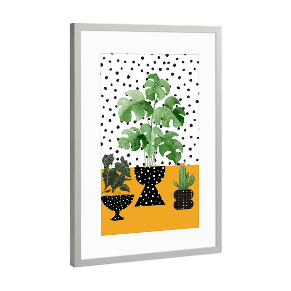 Poster mit Rahmen Silber "Zimmerpflanze-Porträt" artboxONE - Natur,Floral