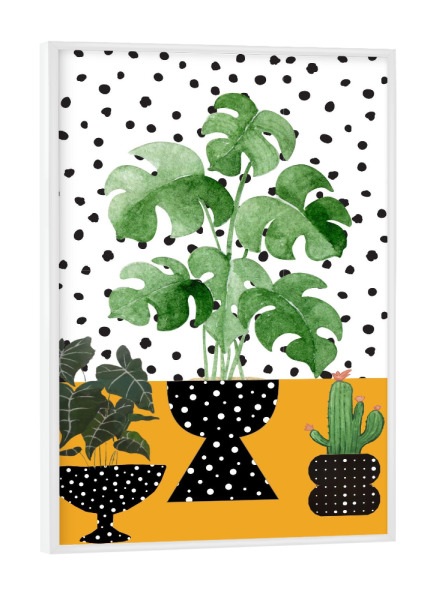 Poster mit weißem Rahmen "Zimmerpflanze-Porträt" artboxONE - Natur,Floral