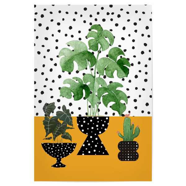 Poster 30x20 cm "Zimmerpflanze-Porträt" artboxONE - Natur,Floral - Zimmerpflanzen,Polkadots,Bestseller,Kunstwerke,Monstera,Botanisch,Geschenk,Porträts
