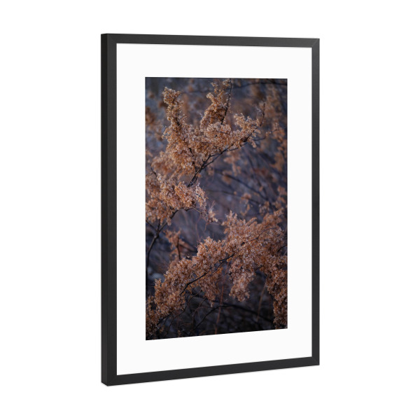 Poster mit Rahmen Schwarz (Metallic) "Getrocknete Blätter Äste" artboxONE - Natur - Getrocknete blätter äste,Natur