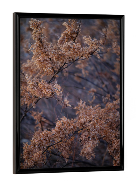 Poster mit schwarzem Rahmen "Getrocknete Blätter Äste" artboxONE - Natur - Getrocknete blätter äste,Natur