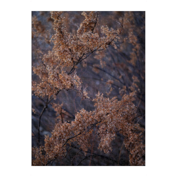 Puzzle Ravensburger "Getrocknete Blätter Äste" artboxONE - Natur - Getrocknete blätter äste,Natur - Bild getrocknete blätter äste