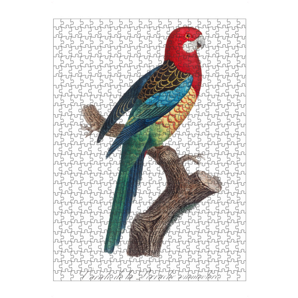 Puzzle Ravensburger "Die östliche Rosella" artboxONE - Natur,Reise,Für Kinder,Tiere