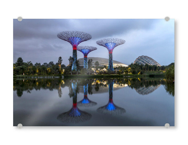 Acrylglasbild "Super Trees" artboxONE - Architektur,Städte / Singapur - Gardens by the bay,Singapur,Asien,Super trees,Nacht,Blaue stunde