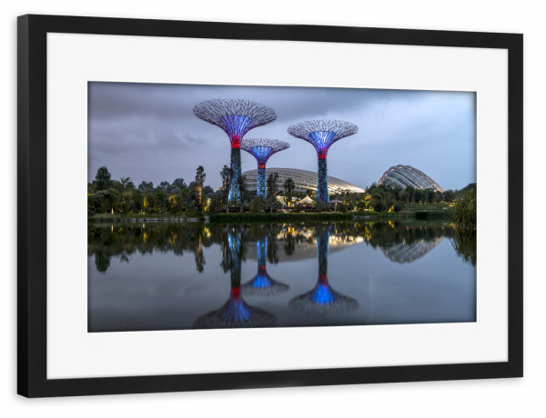 Poster mit Rahmen schwarz "Super Trees" artboxONE - Architektur,Städte / Singapur - Gardens by the bay,Singapur,Asien,Super trees,Nacht,Blaue stunde