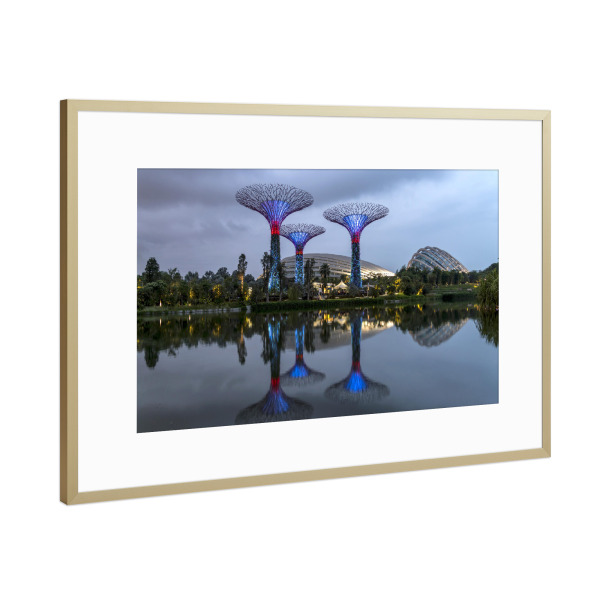 Poster mit Rahmen Gold "Super Trees" artboxONE - Architektur,Städte / Singapur - Gardens by the bay,Singapur,Asien,Super trees,Nacht,Blaue stunde