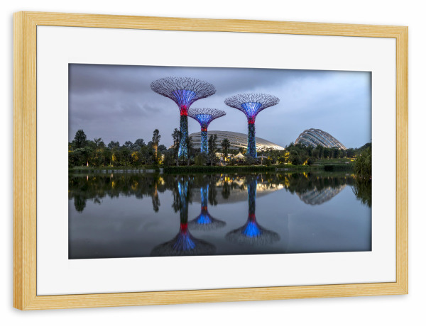 Poster mit Rahmen kiefer "Super Trees" artboxONE - Architektur,Städte / Singapur - Gardens by the bay,Singapur,Asien,Super trees,Nacht,Blaue stunde