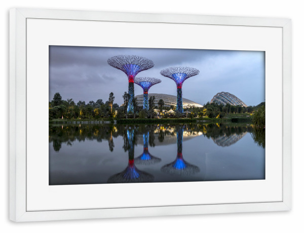 Poster mit Rahmen weiß "Super Trees" artboxONE - Architektur,Städte / Singapur - Gardens by the bay,Singapur,Asien,Super trees,Nacht,Blaue stunde