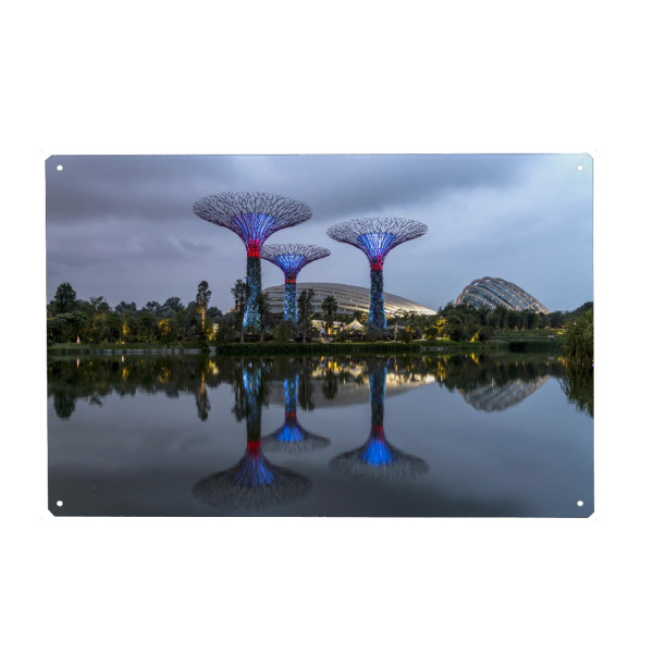 Metall Poster "Super Trees" artboxONE - Architektur,Städte / Singapur - Gardens by the bay,Singapur,Asien,Super trees,Nacht,Blaue stunde