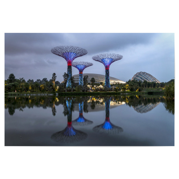 Poster "Super Trees" artboxONE - Architektur,Städte / Singapur - Gardens by the bay,Singapur,Asien,Super trees,Nacht,Blaue stunde