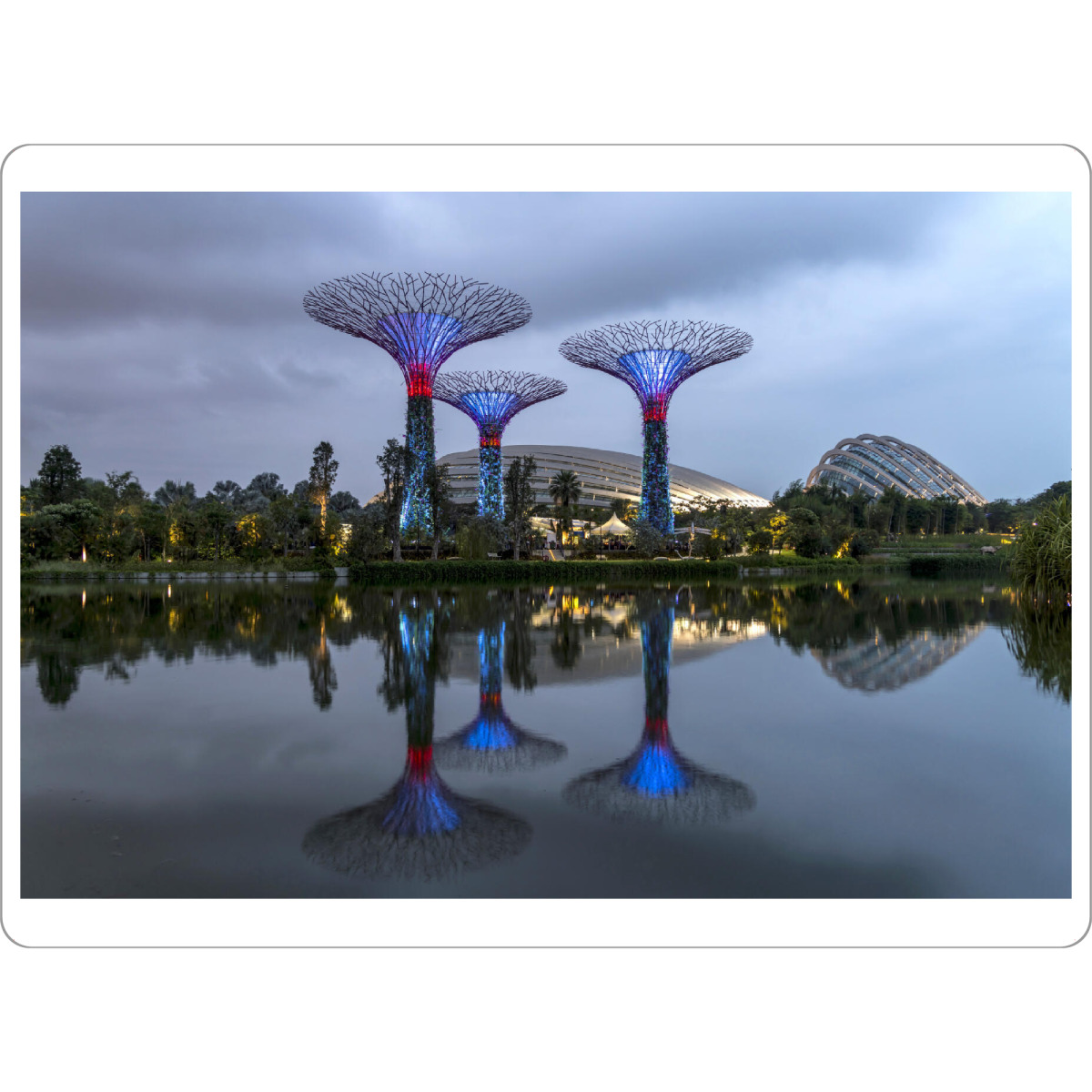 Tischset "Super Trees" artboxONE - Architektur,Städte / Singapur - Gardens by the bay,Singapur,Asien,Super trees,Nacht,Blaue stunde