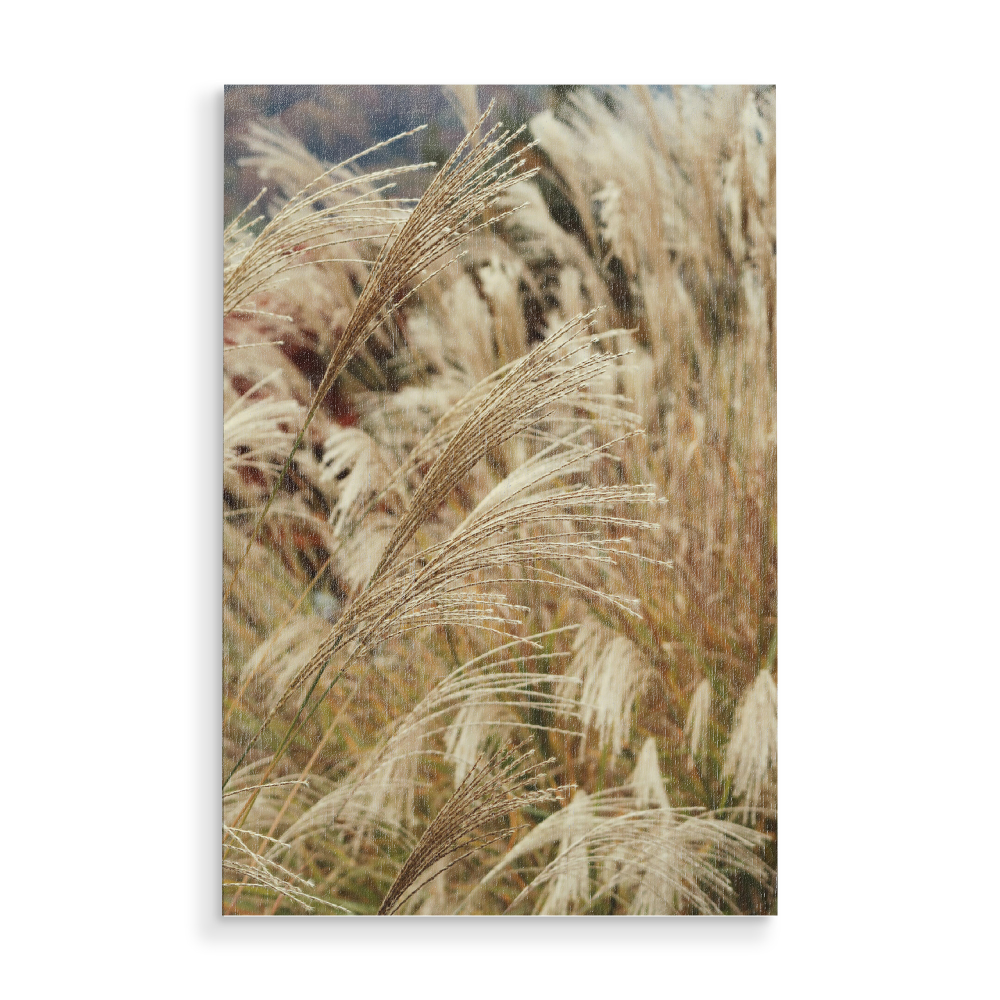 Holzbild "Weizenpflanzen" artboxONE - Natur,Floral - Weizenpflanzen,Pflanzen,Natur,Beige,Boho,Botanisch