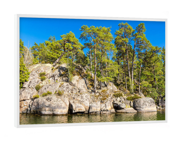 Poster mit weißem Rahmen "Ostsee, Felsen, Bäume" artboxONE - Natur,Reise,Reise / Strand und Meer,Reise / Länder