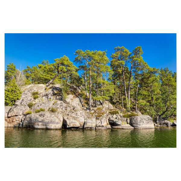 Poster 30x20 cm "Ostsee, Felsen, Bäume" artboxONE - Natur,Reise,Reise / Strand und Meer,Reise / Länder