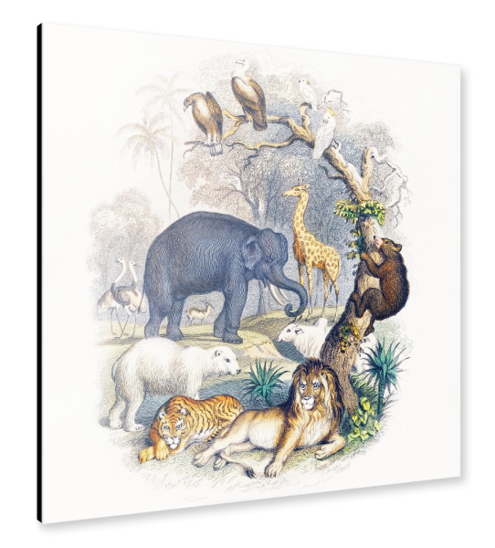 Alu-Dibond "Geschichte der Erde" 30x30 cm artboxONE