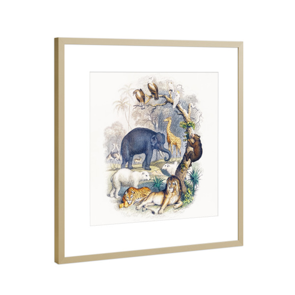 Poster mit Rahmen Gold "Geschichte der Erde" artboxONE - Natur,Für Kinder,Tiere