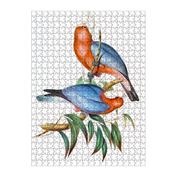 Puzzle Ravensburger "Cacatua Eos" artboxONE - Natur,Reise,Tiere,Reise / Länder,Für Mama