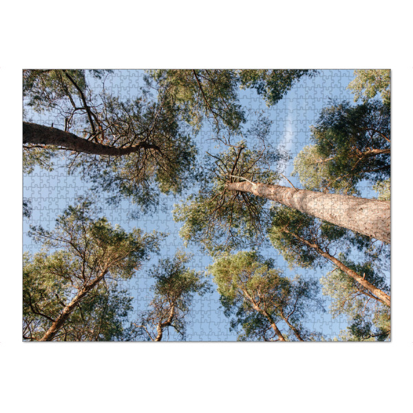 Puzzle Ravensburger "Hoch hinauf" artboxONE - Natur - Baum,Bäume,Himmel,Wald,Hoch,Stamm,Natur,Blick,Baumwipfel,Perspektive - Bild baum