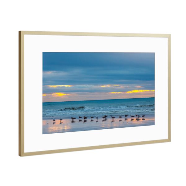 Poster mit Rahmen Gold "Möwen bei Sonnenuntergan" artboxONE - Natur,Tiere - Möwe,Strand,Sonnenuntergang,Meer,Ozean,Wellen,Landschaft,Natur