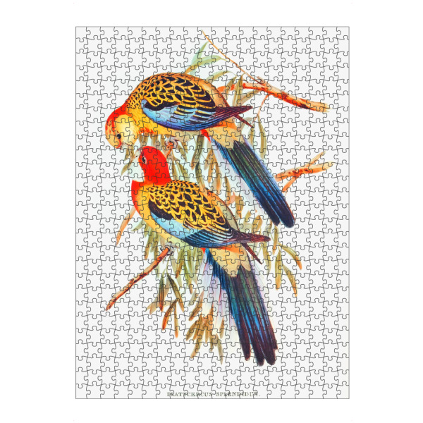 artboxONE Puzzle "Prächtiger Sittich" artboxONE - Natur,Reise,Für Kinder,Tiere