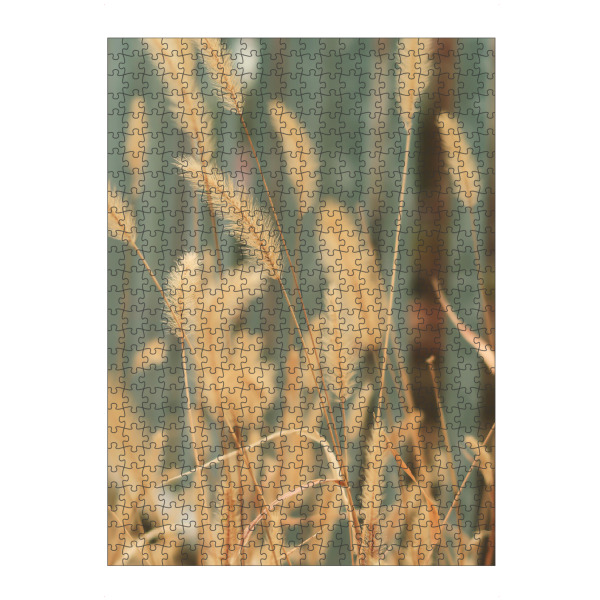 artboxONE Puzzle "Beige Pampasgräser" artboxONE - Natur,Floral - Beige,Pampasgrass,Natur,Nahaufnahme,Botanisch,Floral - Bild beige