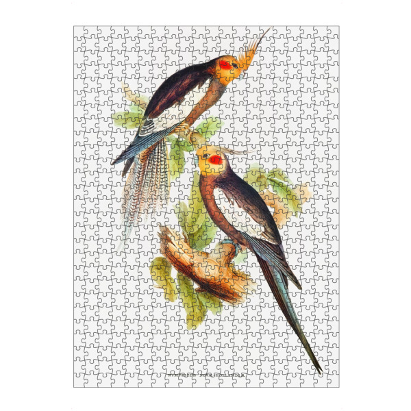 Puzzle Ravensburger "Kakadusittich" artboxONE - Natur,Für Kinder,Tiere