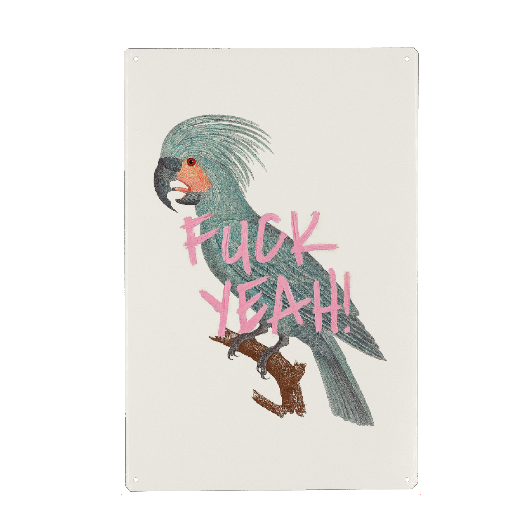 Metall Poster "Fuck Yeah" artboxONE - Tiere,Lustig - Bird,Jonas loose,Pop art,Modern art,Contemporary art,Funny,Humor,Vintage,Retro,Papagei