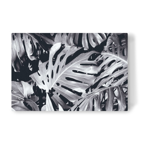 Leinwandbild "Palmendickicht schwarzweiß" artboxONE - Natur,Floral,Schwarzweiß