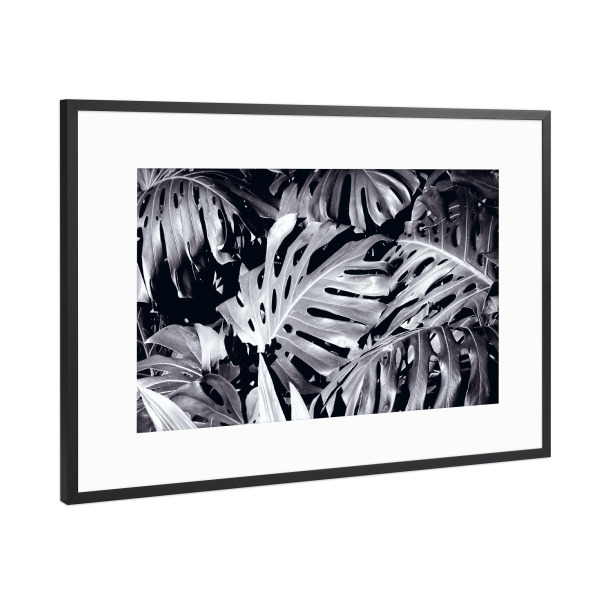 Poster mit Rahmen Schwarz (Metallic) "Palmendickicht schwarzweiß" artboxONE - Natur,Floral,Schwarzweiß