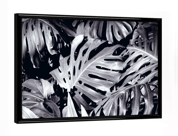Poster mit schwarzem Rahmen "Palmendickicht schwarzweiß" artboxONE - Natur,Floral,Schwarzweiß