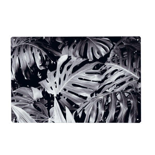 Holzbild "Palmendickicht schwarzweiß" artboxONE - Natur,Floral,Schwarzweiß