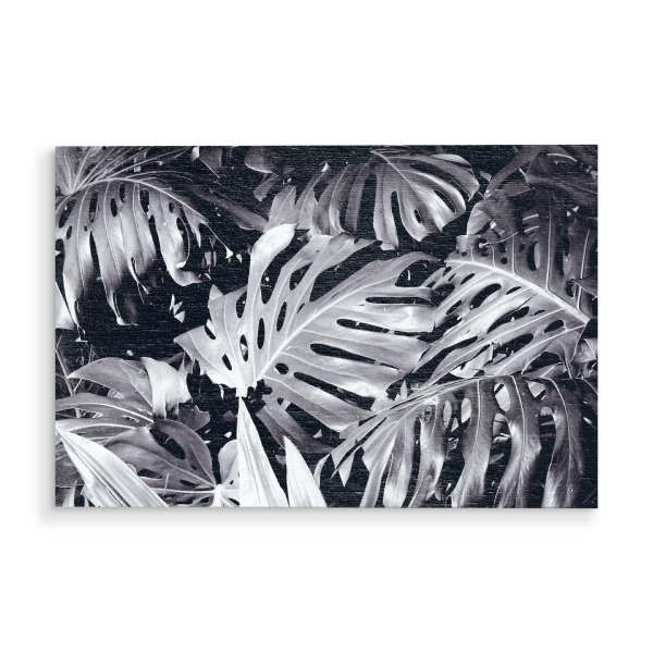 Holzbild "Palmendickicht schwarzweiß" artboxONE - Natur,Floral,Schwarzweiß