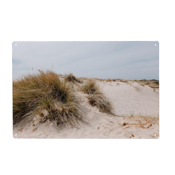 Holzbild "Dünen in Dänemark" artboxONE - Natur,Reise,Reise / Strand und Meer - Dänemark,Dünen,Meer,Gras,Gräser,Sand,Strand,Natur,Urlaub