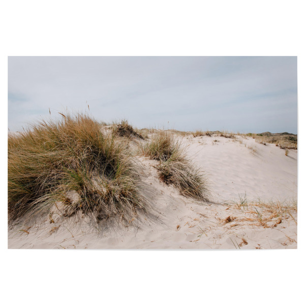 Poster 30x20 cm "Dünen in Dänemark" artboxONE - Natur,Reise,Reise / Strand und Meer - Dänemark,Dünen,Meer,Gras,Gräser,Sand,Strand,Natur,Urlaub