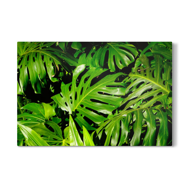 Galerie-Print "Palmendickicht" 30x20 cm artboxONE
