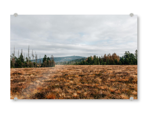 Acrylglasbild "Blick auf den Brocken" artboxONE - Natur,Reise - Brocken,Harz,Berg,Gipfel,Moor,Wanderung,Bäume,Wald,Herbst,Wolken