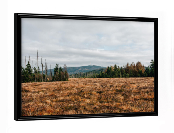 Poster mit schwarzem Rahmen "Blick auf den Brocken" artboxONE - Natur,Reise - Brocken,Harz,Berg,Gipfel,Moor,Wanderung,Bäume,Wald,Herbst,Wolken