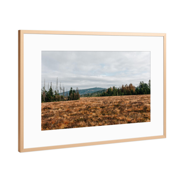Poster mit Rahmen Kupfer "Blick auf den Brocken" artboxONE - Natur,Reise - Brocken,Harz,Berg,Gipfel,Moor,Wanderung,Bäume,Wald,Herbst,Wolken