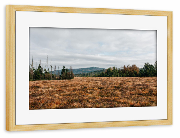 Poster mit Rahmen kiefer "Blick auf den Brocken" artboxONE - Natur,Reise - Brocken,Harz,Berg,Gipfel,Moor,Wanderung,Bäume,Wald,Herbst,Wolken