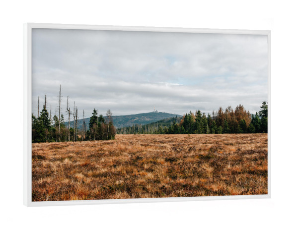 Poster mit weißem Rahmen "Blick auf den Brocken" artboxONE - Natur,Reise - Brocken,Harz,Berg,Gipfel,Moor,Wanderung,Bäume,Wald,Herbst,Wolken