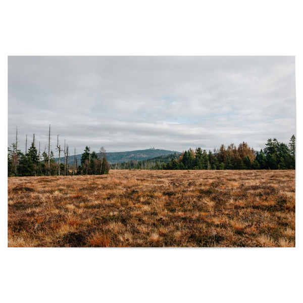 Poster 30x20 cm "Blick auf den Brocken" artboxONE - Natur,Reise - Brocken,Harz,Berg,Gipfel,Moor,Wanderung,Bäume,Wald,Herbst,Wolken