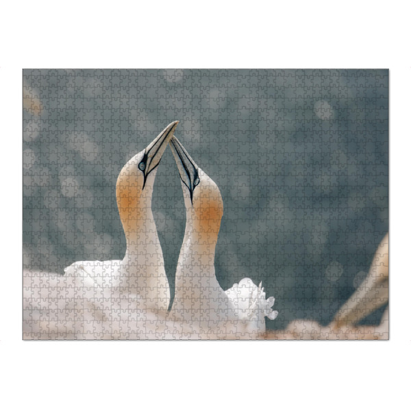 Puzzle Ravensburger "Basstölpelpaar" artboxONE - Natur,Reise,Tiere - Basstölpel,Vogel,Vögel,Helgoland,Tier,Tiere,Meer,Nordsee,Wildnis,Reise