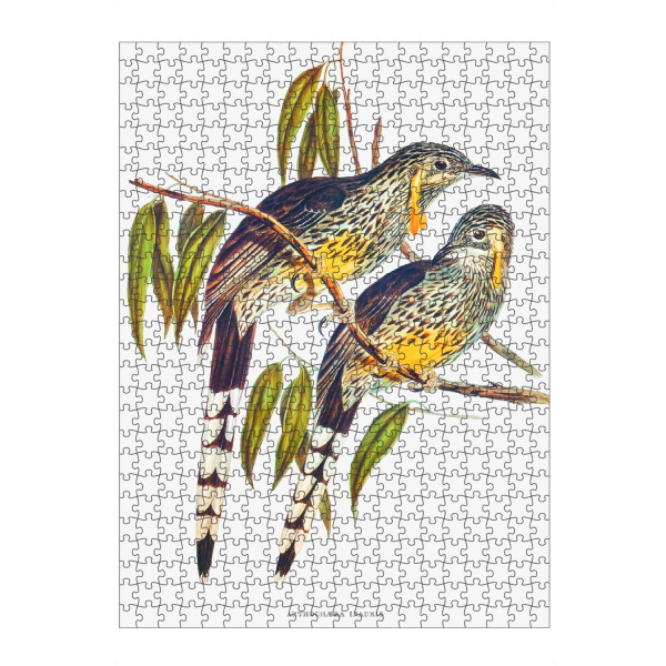 artboxONE Puzzle "Großer Wattled-Honigfresser" artboxONE - Natur,Reise,Für Kinder,Tiere,Reise / Länder