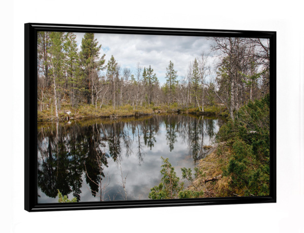 Poster mit schwarzem Rahmen "Wald mit See in Schweden" artboxONE - Natur,Reise,Reise / Länder