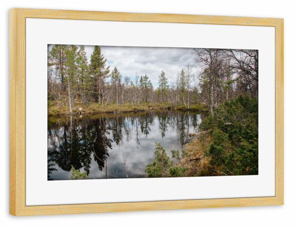 Poster mit Rahmen kiefer "Wald mit See in Schweden" artboxONE - Natur,Reise,Reise / Länder