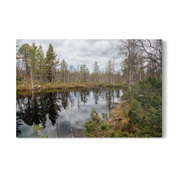 Galerie-Print "Wald mit See in Schweden" 30x20 cm artboxONE