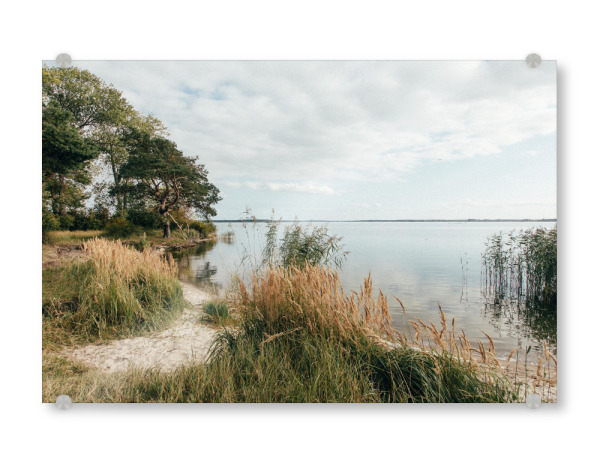 Acrylglasbild "Halbinsel Gnitz" artboxONE - Natur,Reise,Reise / Strand und Meer - Ostsee,Gnitz,Usedom,Natur,Schilf,Meer,Strand,See,Sand,Ufer